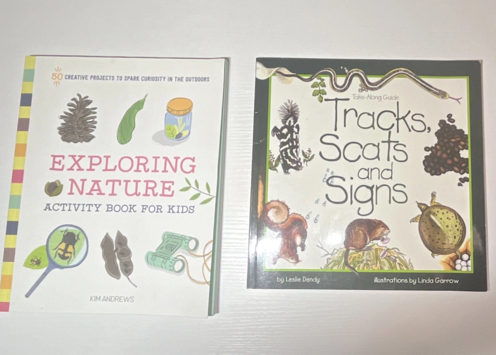 Kids Nature Activity Books Lot Of 2 Books Summer Outdoor Activities For Kids