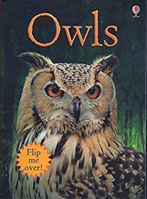 Owls / Wolves “Flip Me Over” Scholastic Book James Maclaine Emily