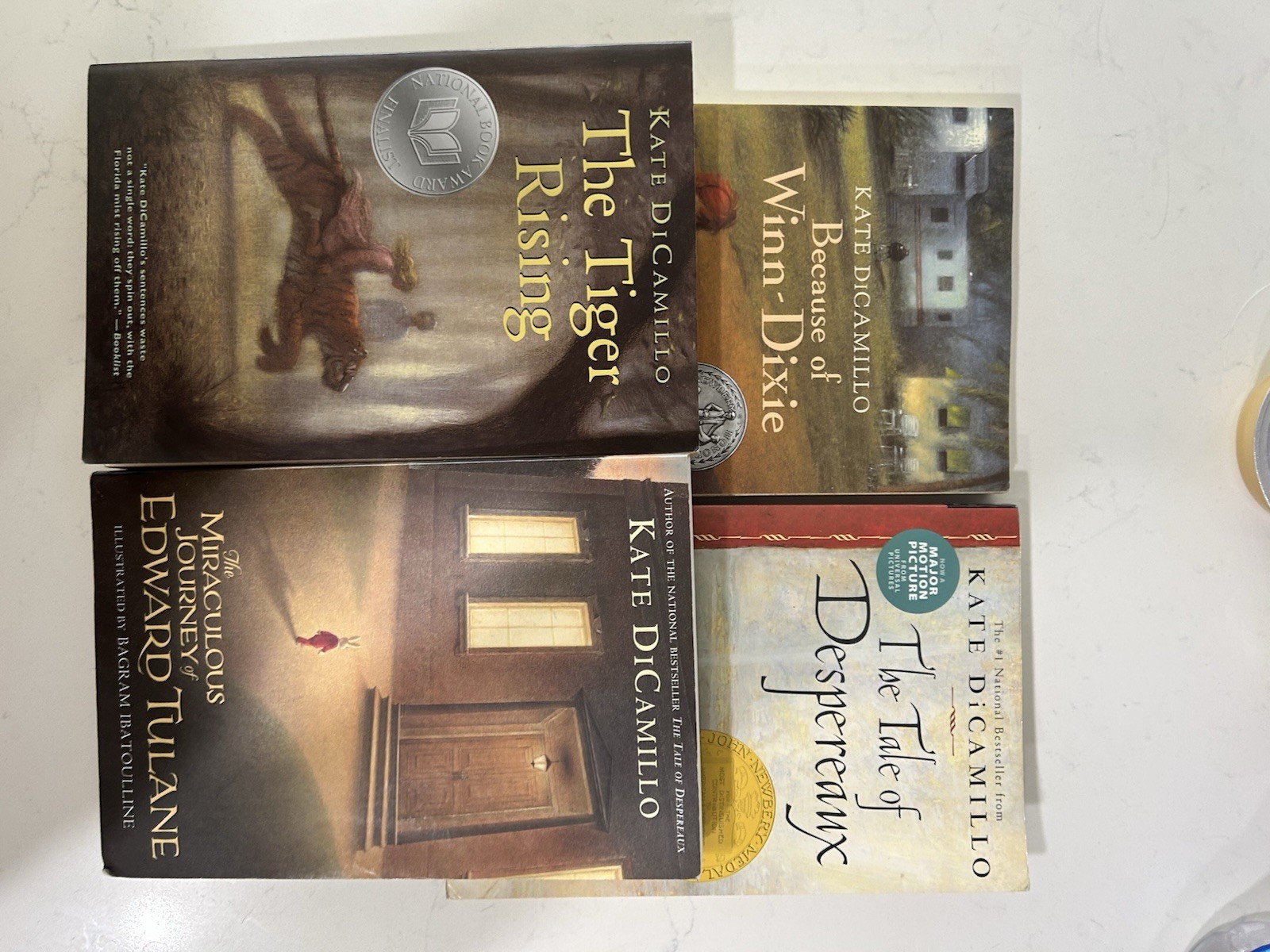 Kate DiCamillo Collection Box Set: Tiger Rising, Winn-Dixie, Edward Tulane