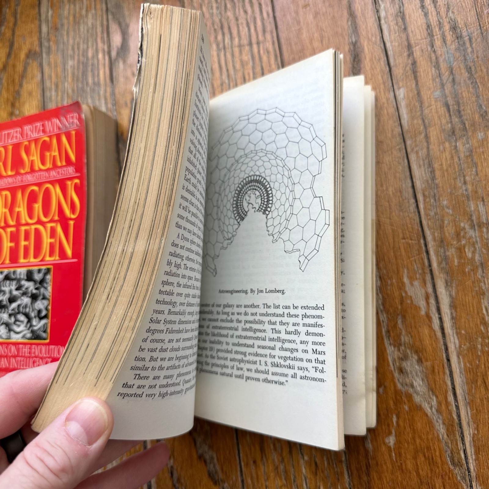 Carl Sagan COSMIC CONNECTION DRAGONS OF EDEN Dell 1975 1978 Lot of 2