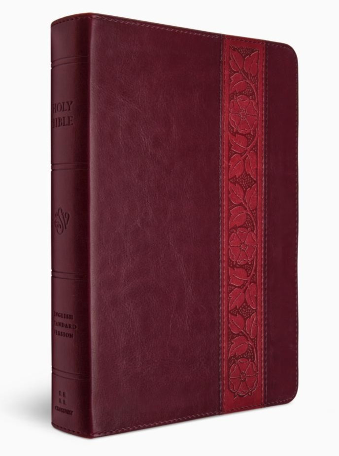 ESV Giant Print Personal Size Bible Red Letter, TruTone Mahogany, Trellis Design