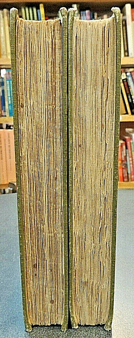 2 Vol Set: David Copperfield Complete Volumes 1-2 Decorative Binding Dickens