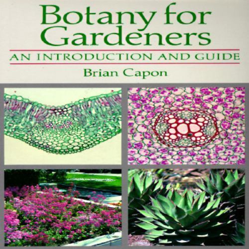 Botany for Gardeners : An Introduction and Guide by Brian Capon (1992, Trade…