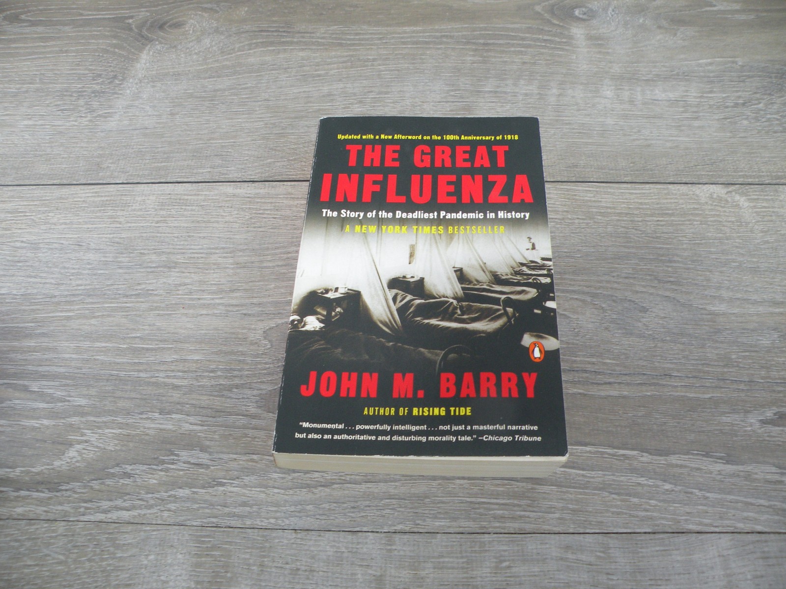 The Great Influenza John M. Barry 2018 Paperback Pandemic History New Afterword