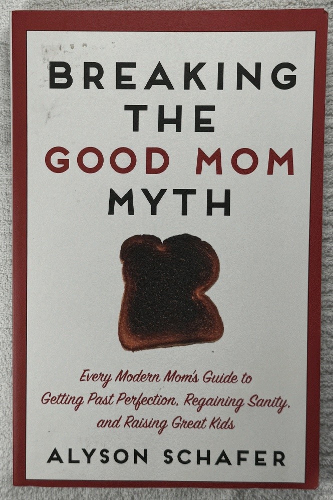 Breaking Good Mom Myth Alyson Schafer Modern Guide Parenting Reclaim Sanity VG
