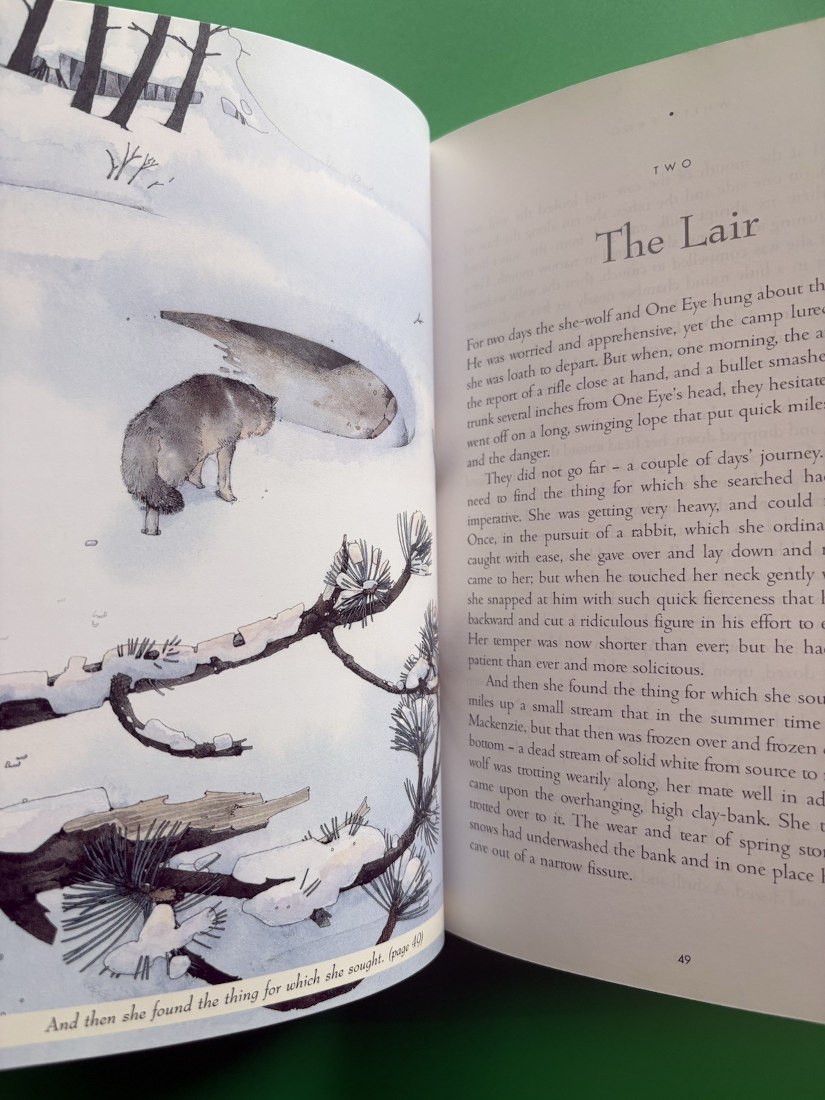 Jack London: White Fang HCDJ 2004 Borders Press Illustrated By Helen Ward