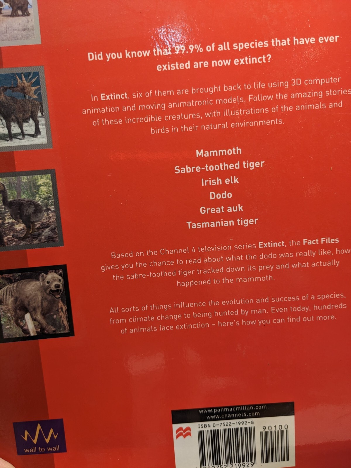 Extinct Fact Files: Activity Book Furman, Simon Channel 4 Books 2001