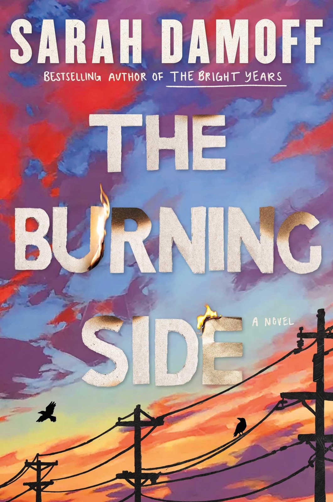 The Burning Side: A Novel by Sarah Damoff