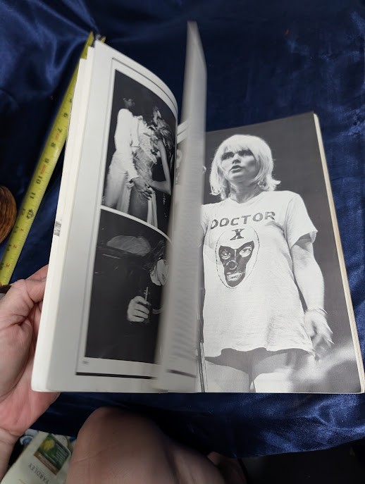 Rock ‘n’ Roll Babylon Gary Herman Paperback Music History Book