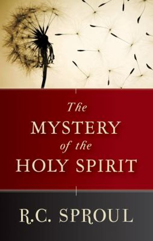 The Mystery of the Holy Spirit Paperback R. C. Sproul