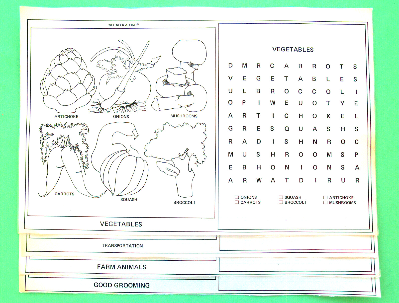 WORD SEARCH KIDS—24 WIPE-OFF LARGE—17 x 11 IN.—ANIMALS, FOOD, TOYS—LAMINATED