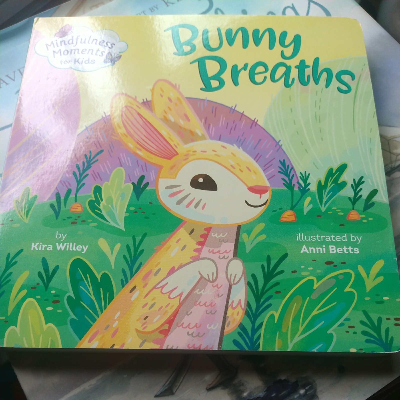 Mindfulness Moments for Kids: Bunny Breaths by Kira Willey (2020) board book