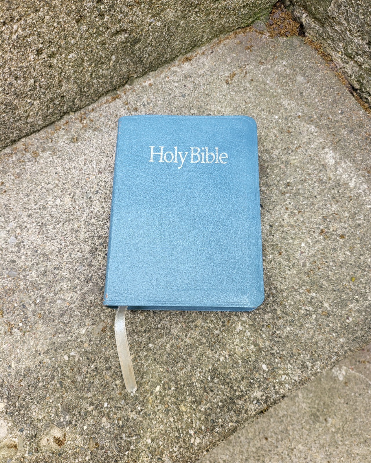 Vtg 1972 Leather 4.5″×6″ Nelson KJV Bible Words Of Christ In Red