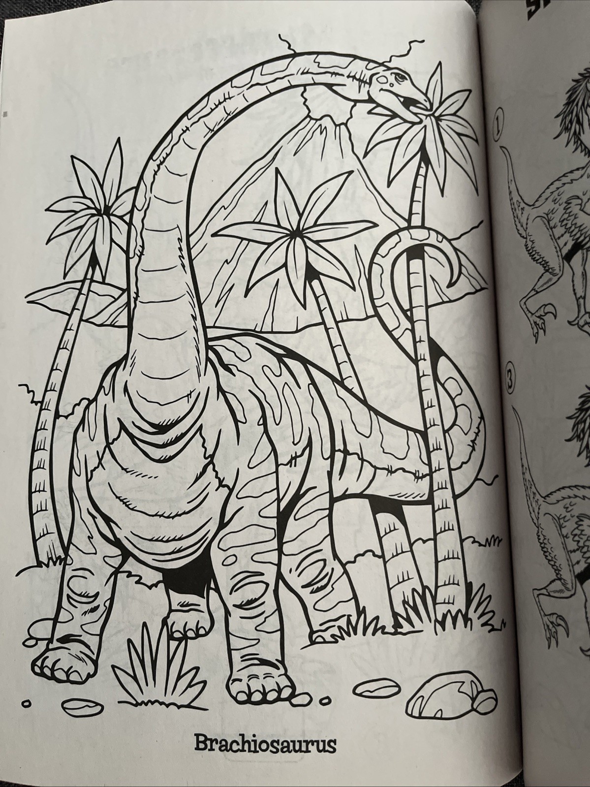 Dino Rawer! Dinosaur Coloring & Activity Book Dinosaurs to Color T-Rex