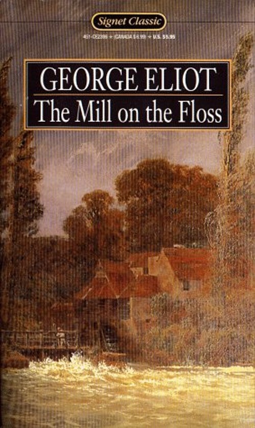 The Mill on the Floss Mass Market Paperbound George Elliott