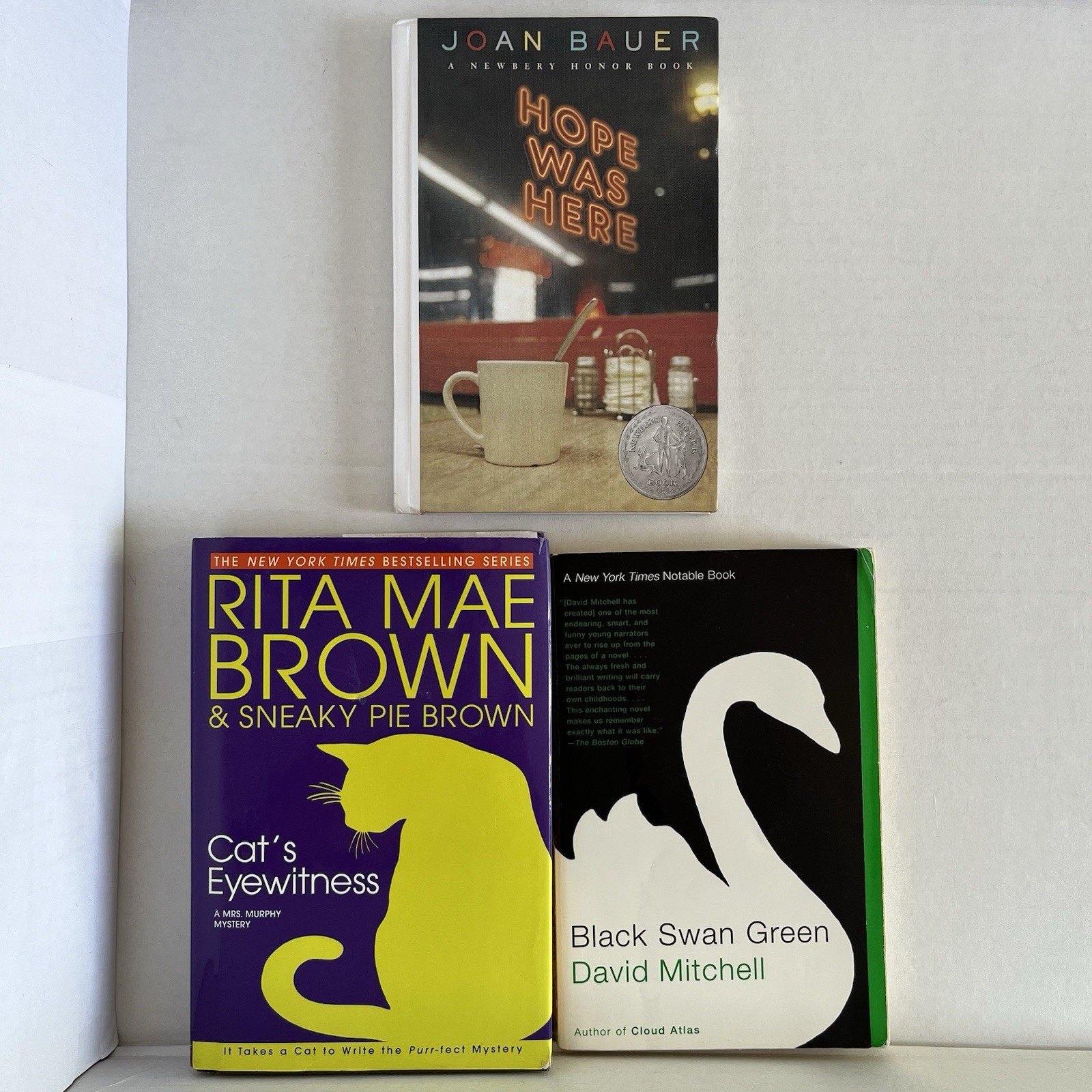 Mixed Genre Fiction Lot BLACK SWAN GREEN – HOPE WAS HERE – CAT’S EYEWITNESS