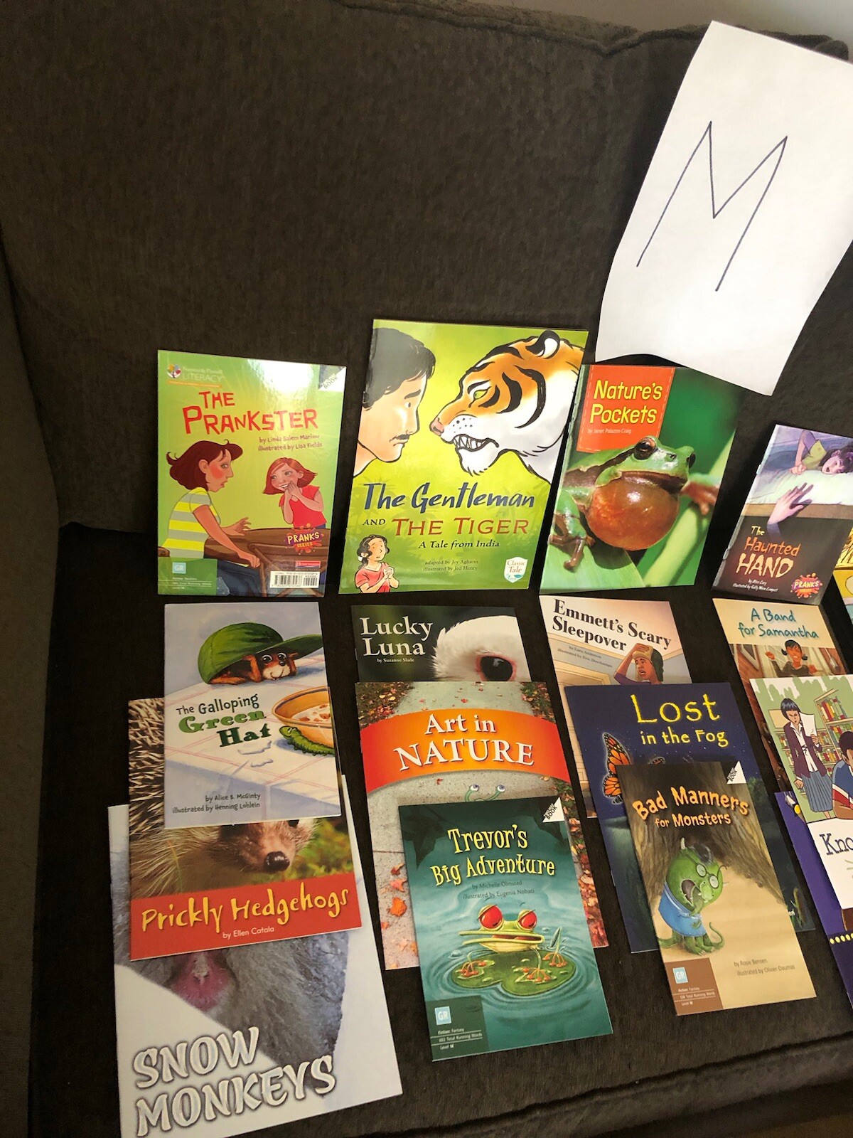 10 Books $15. Second Grade Reading Level TEACHER/SCHOOL LITERACY Free Ship