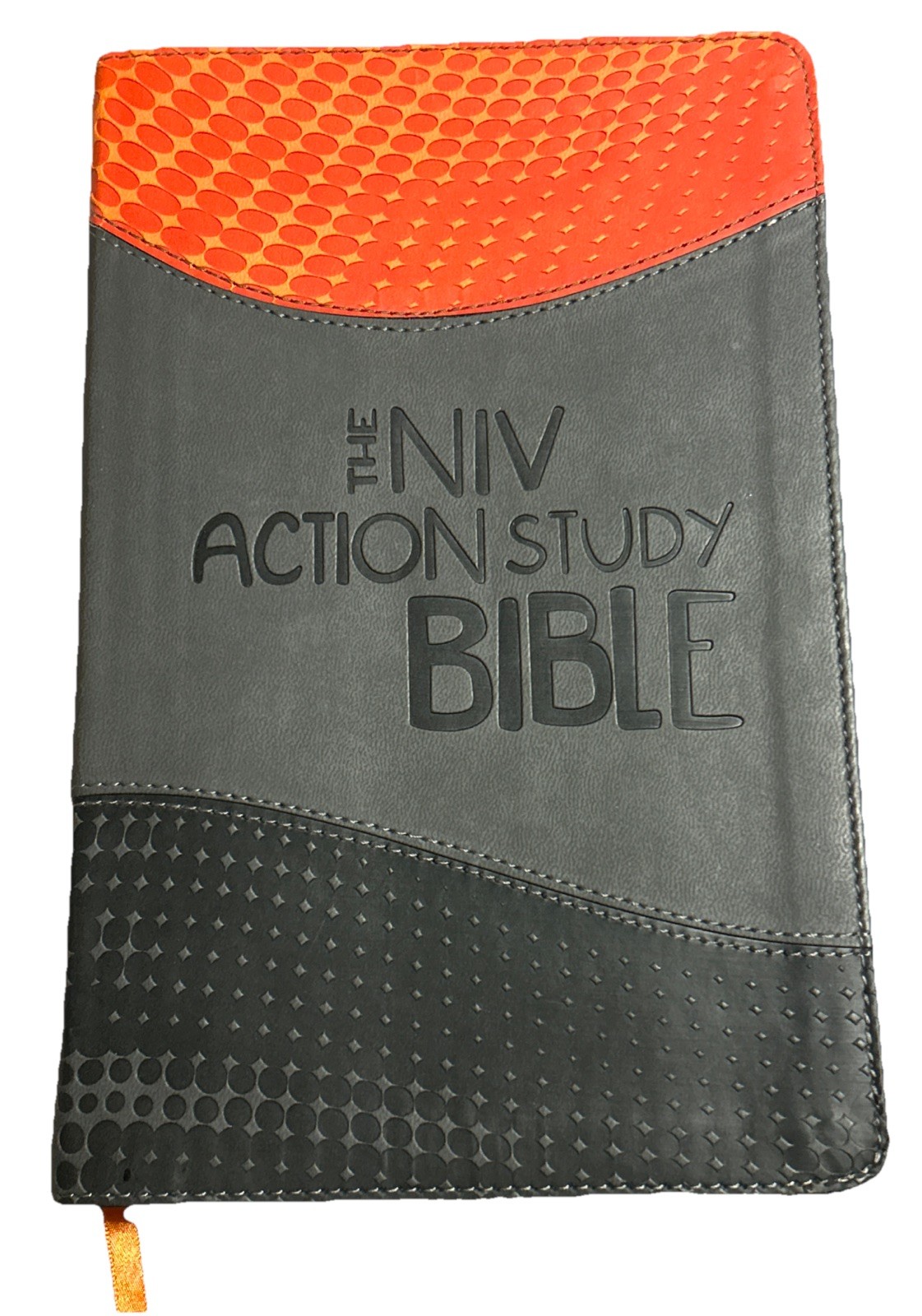 The NIV Action Study Bible – Premium 1st Edition by Sergio Cariello / David Cook