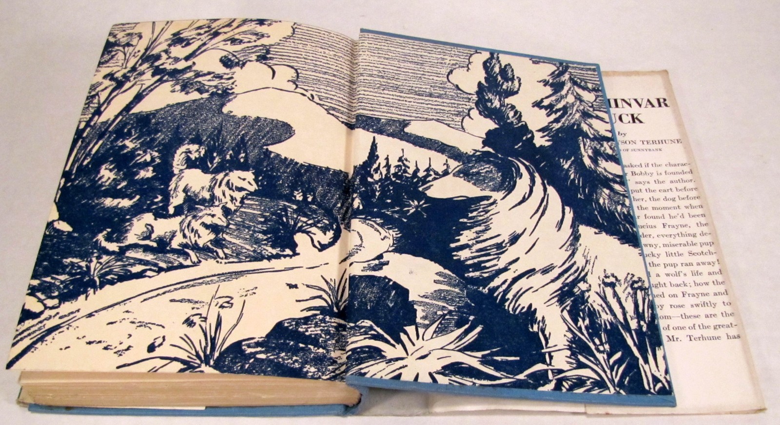The Way of a Dog by Albert Terhune First Edition Hardback w/ Dust Jacket 1932