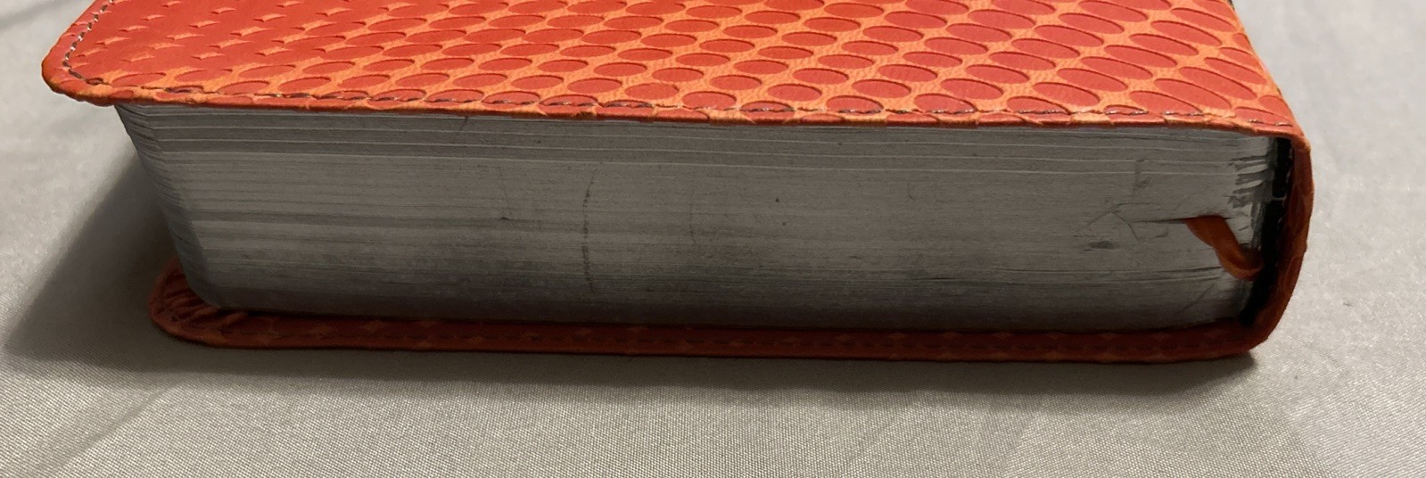 The NIV Action Study Bible – Premium 1st Edition by Sergio Cariello / David Cook
