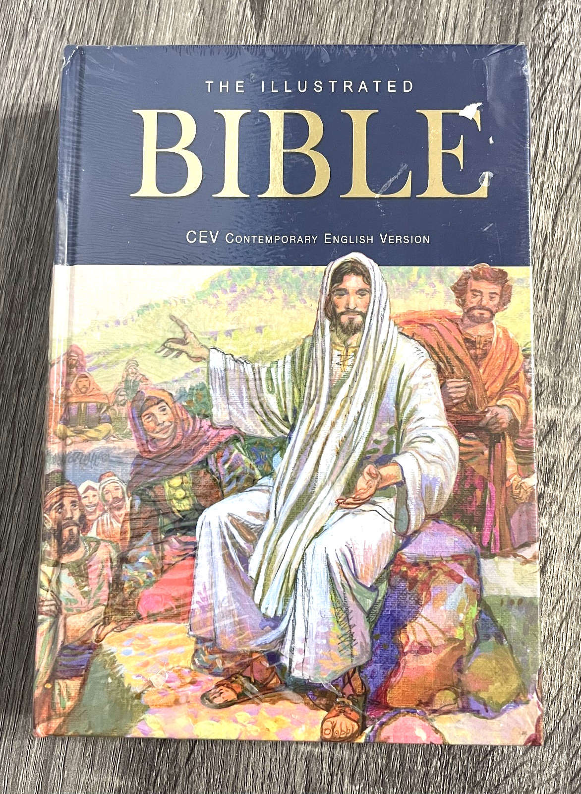 The Illustrated Bible by Jose Perez Montero (Hardcover, 2018) – Brand New