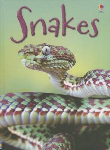 Snakes (Usborne Beginners) – Hardcover By MacLaine, James – ACCEPTABLE