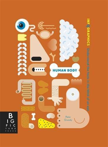 Infographics: Human Body – Paperback By Grundy, Peter – VERY GOOD