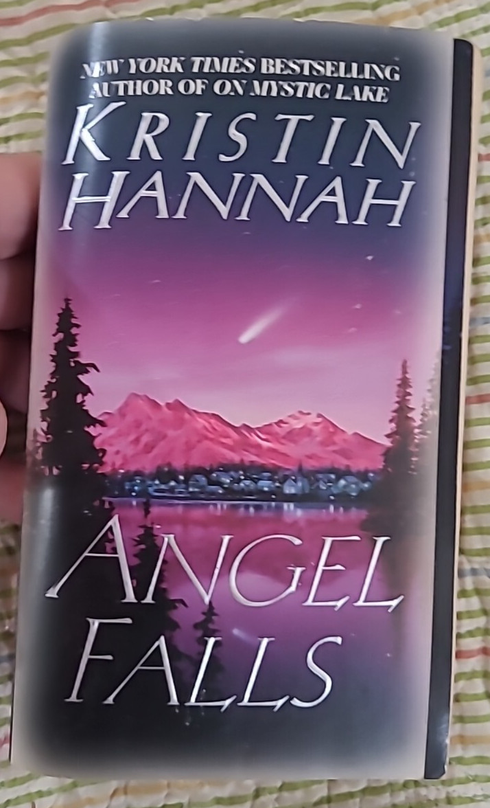 Angel Falls: A Novel Paperback Kristin Hannah
