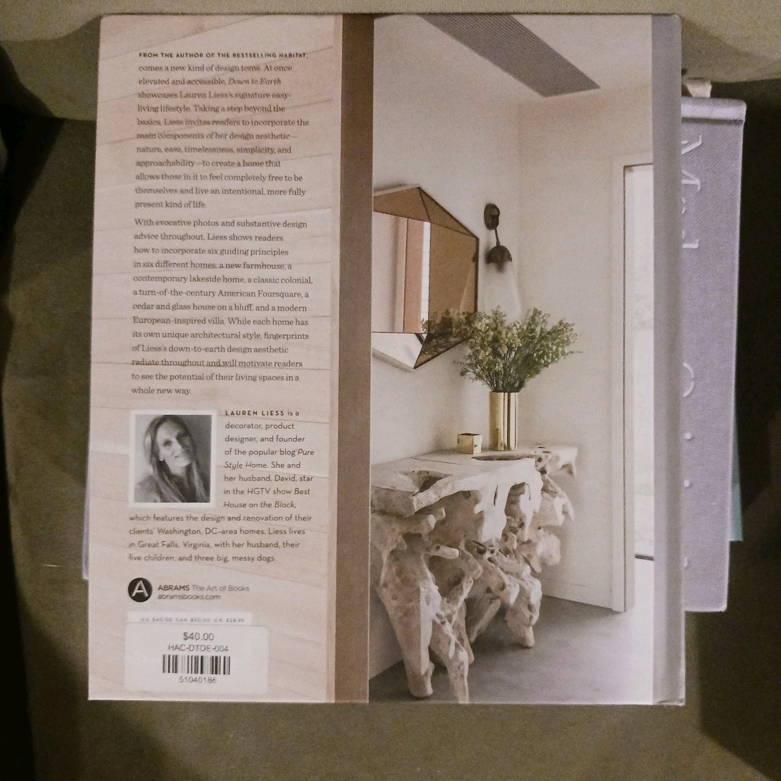 Home Decor Book: DOWN TO EARTH Laid Back Interiors For Modern… Lauren Liess Hc