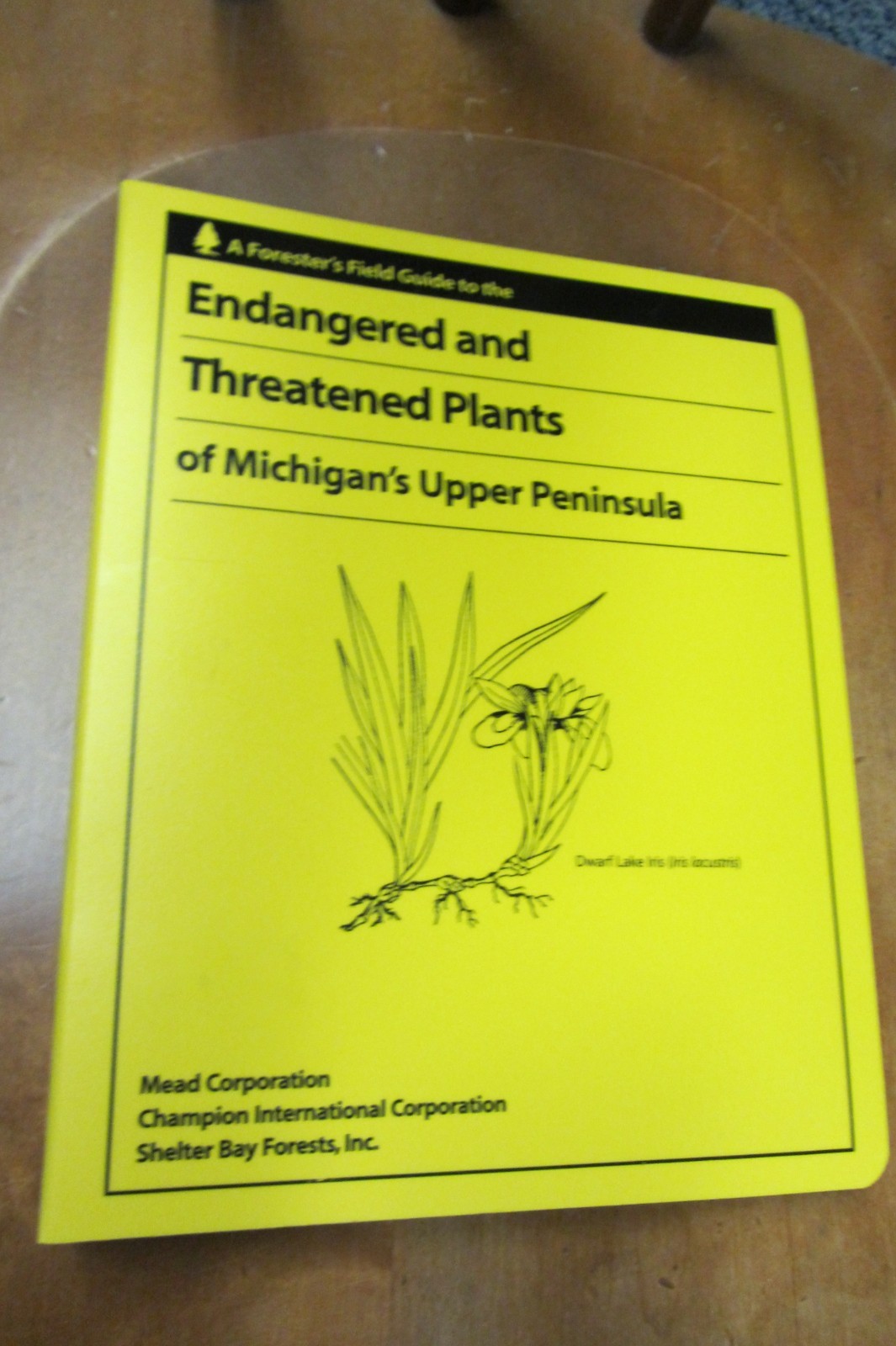 Endangered and Threatened Plants of Michigan Upper Peninsula 1999 1st ed Chadde