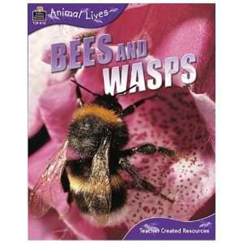 Bees and Wasps Animal Lives Sally Morgan