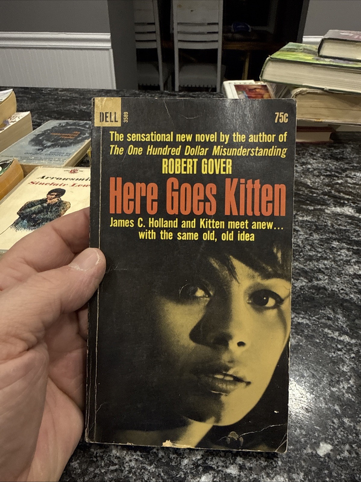 Here Goes Kitten By Robert Gover Dell Books 1964 Paperback PB Fiction
