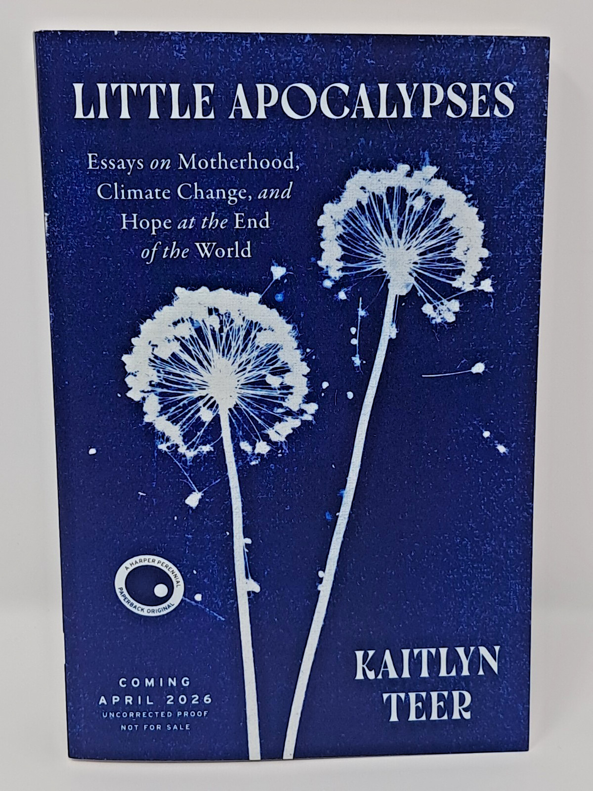 *ARC* Little Apocalypses by Kaitlyn Teer (2026, Softcover) immediate ship