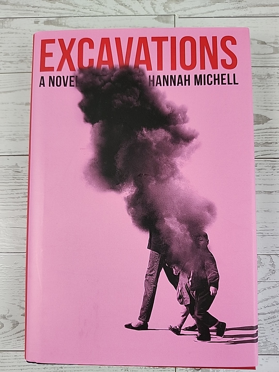 Excavations: A Novel by Hannah Michell (softcover)