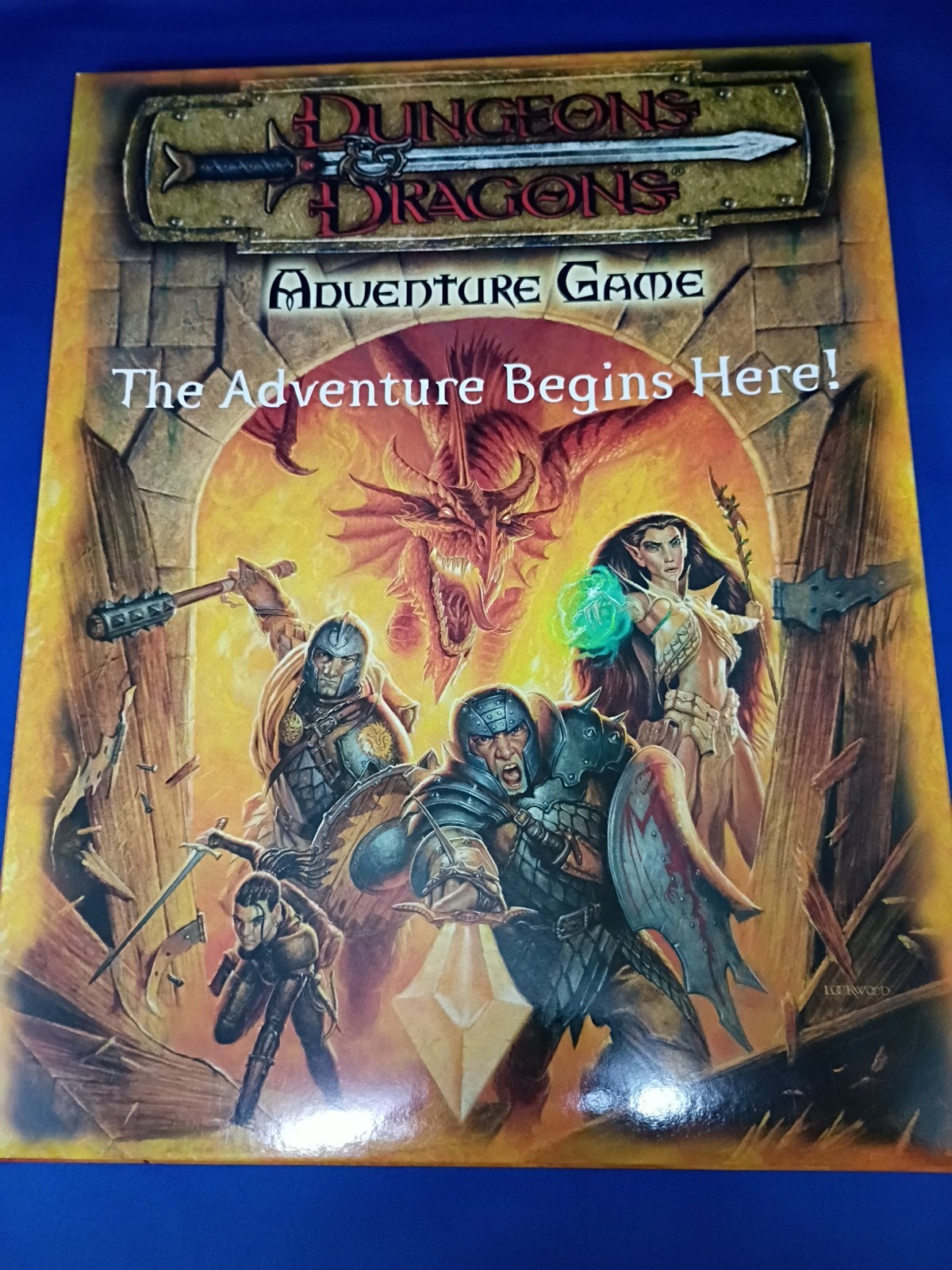 Dungeons and Dragons Adventure Gamebook Ser.: D and D Adventure Game : Dungeons