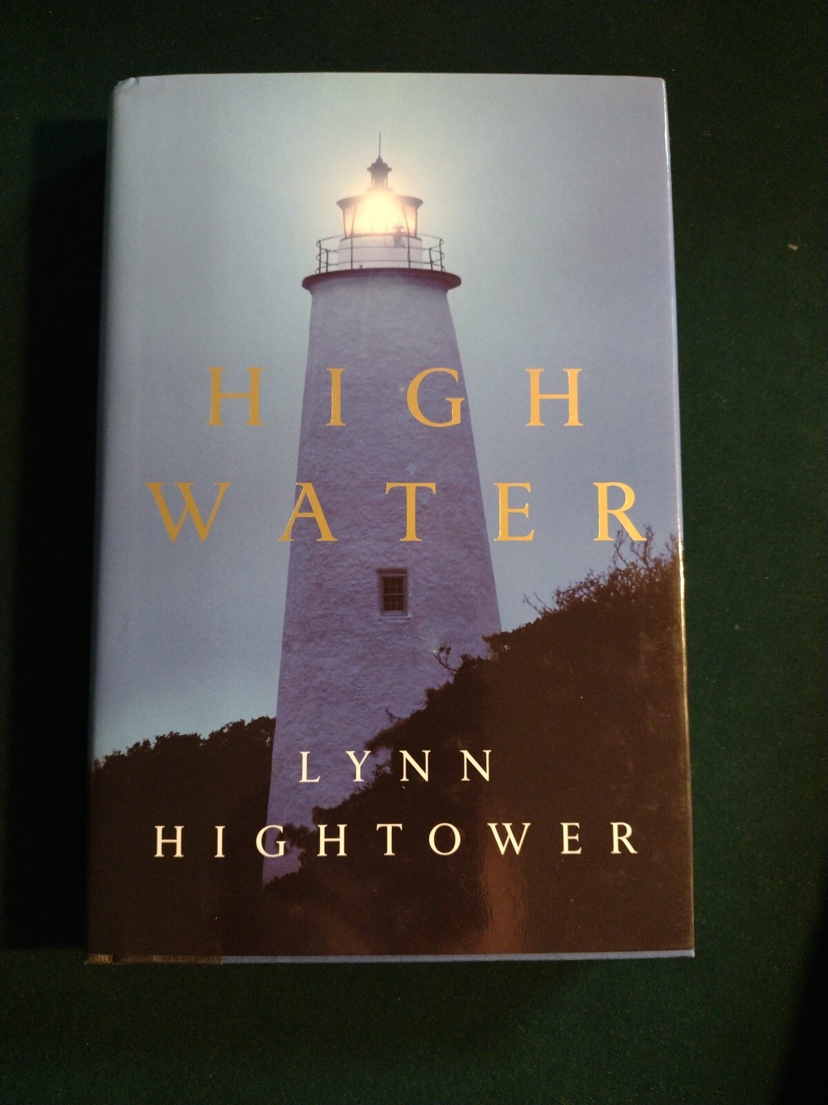 High Water by Lynn Hightower (2002 hardcover) 1st Ed Henry Holt and Co