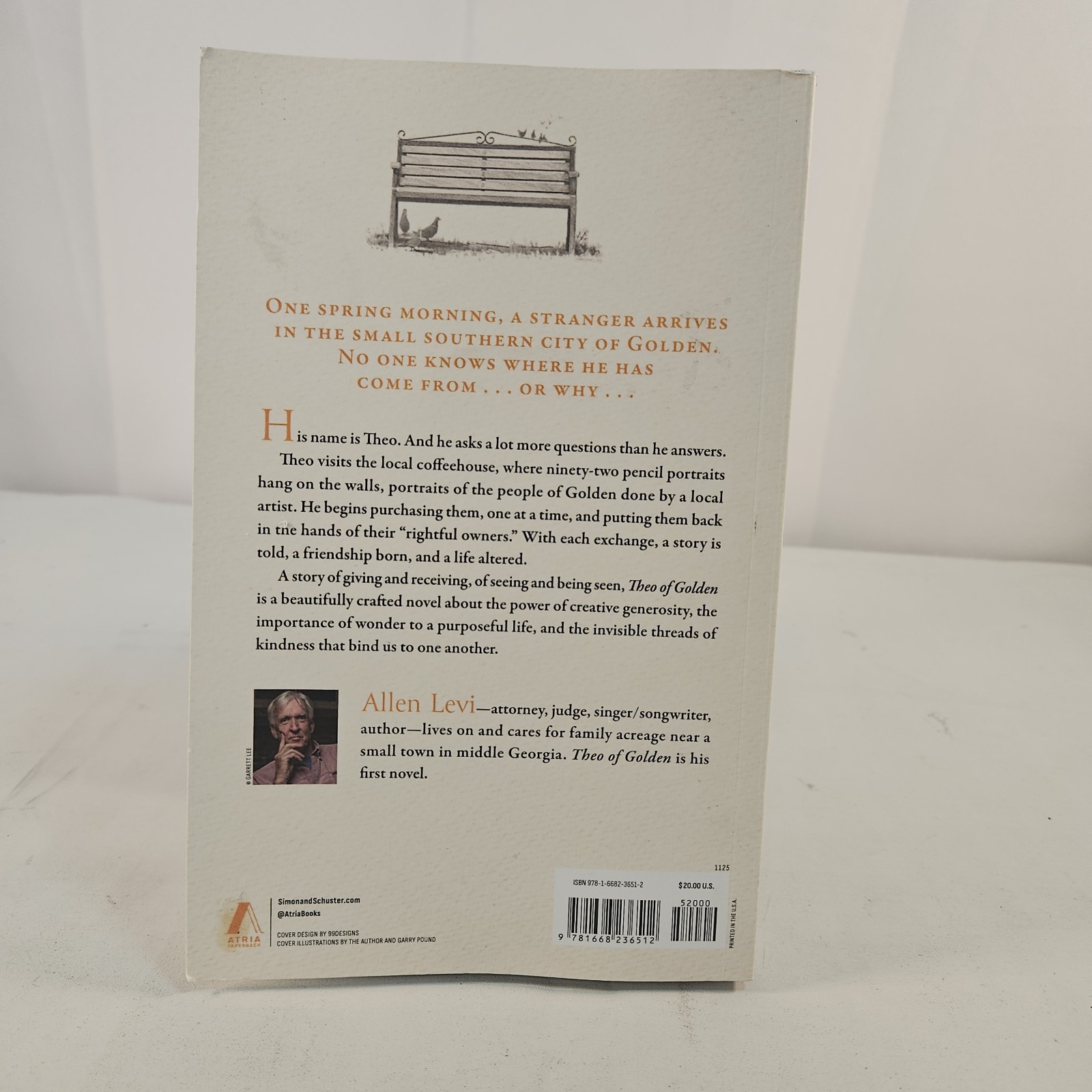 Theo of Golden : A Novel by Allen Levi (2025, Trade Paperback)