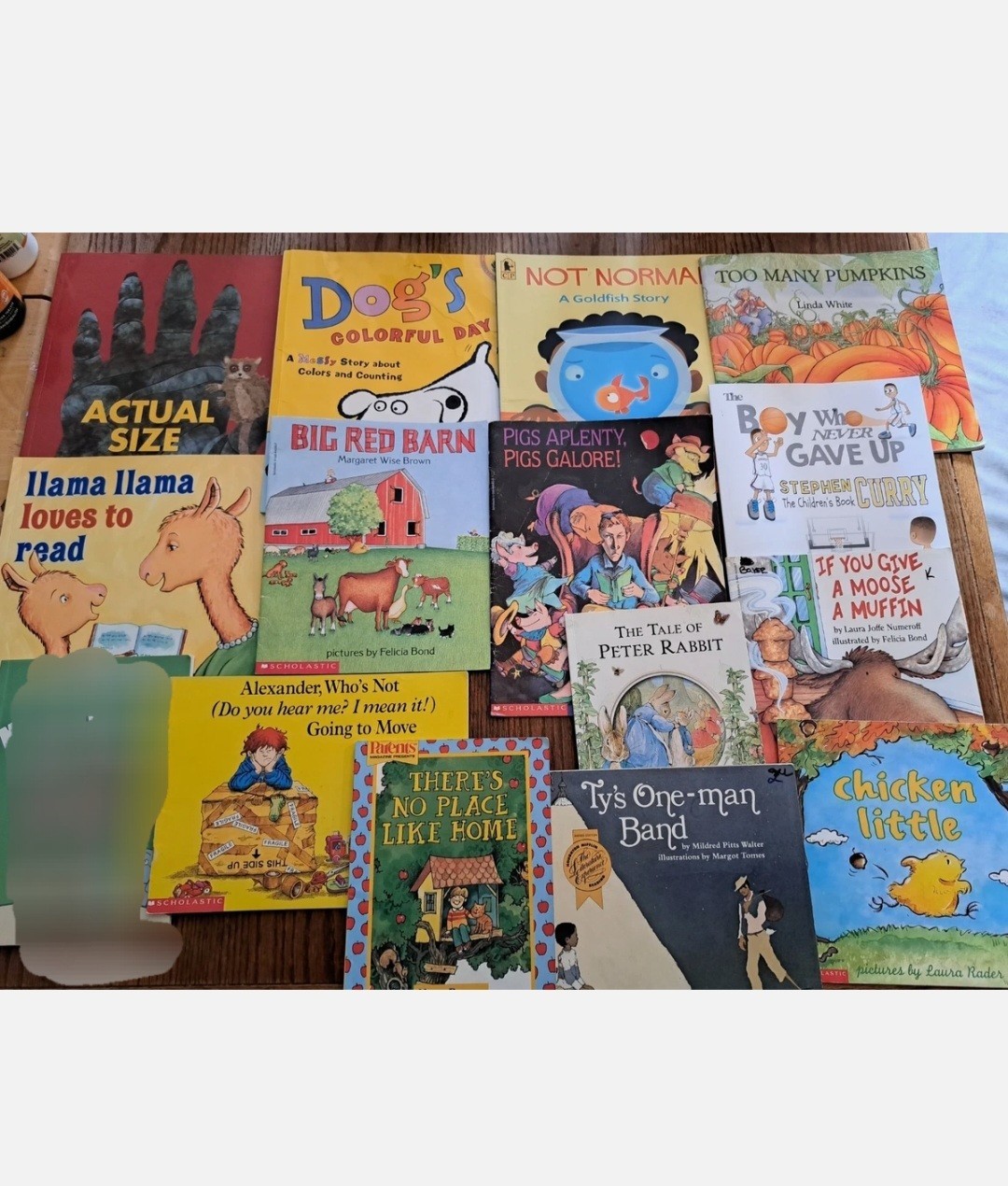 Lot of 14 Children’s Scholastic picture Books Kids Storybook preschool storytime