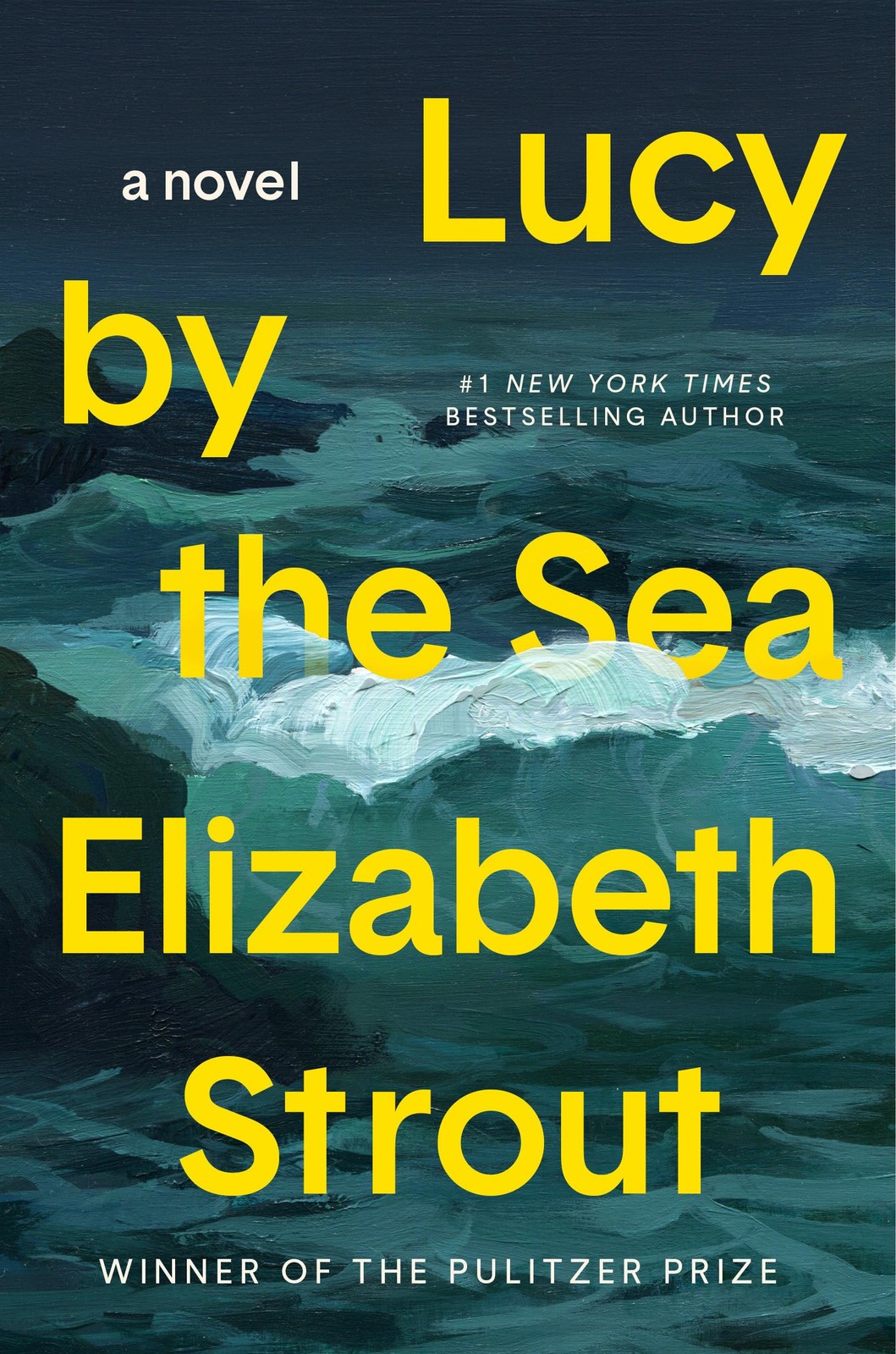Lucy by the Sea: A Novel – hardcover Strout, Elizabeth
