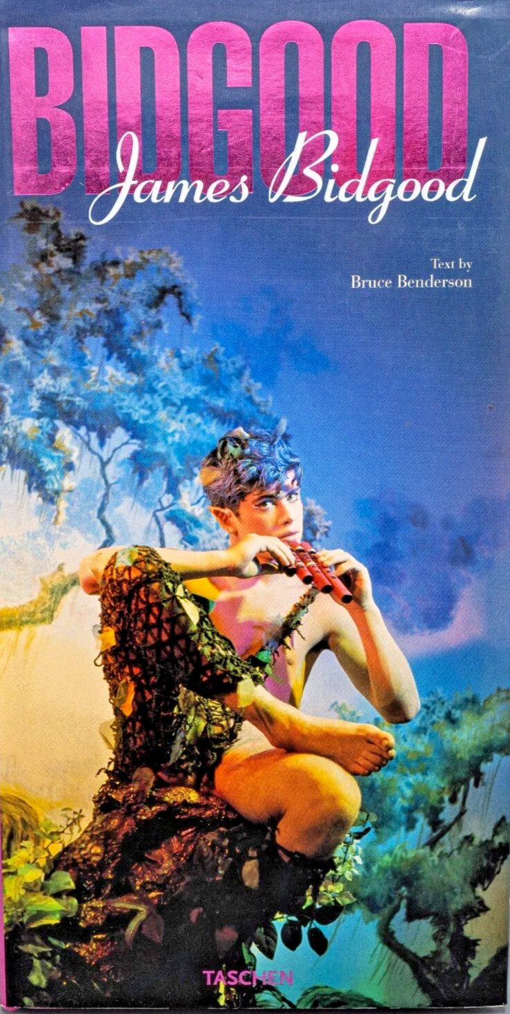 JAMES BIDGOOD (rare Hardcover) pink narcisssus gay LGBTQ
