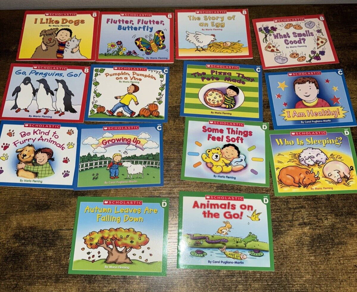 Learn to Read Lot 14 Children’s Little Leveled Readers Phonics Reading Books