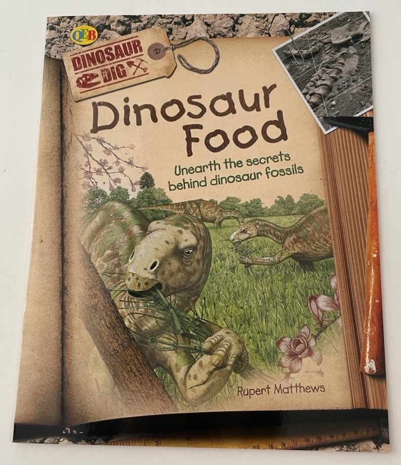 Dinosaur Food Rupert Matthews Book Childrens Prehistoric Fossils Dig QEB READ
