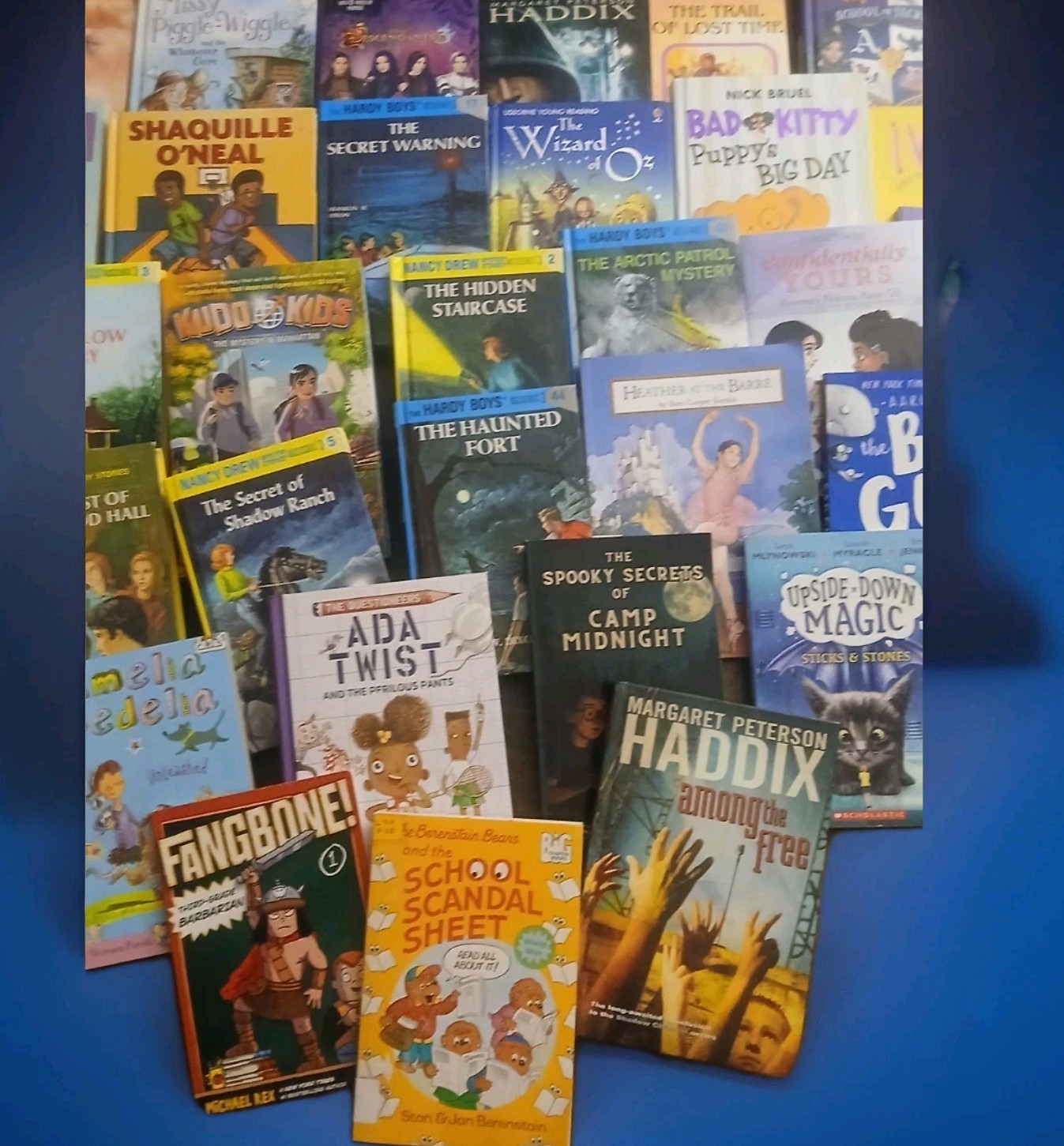Lot of 30 Chapter INSTANT LIBRARY Children’ Early Readers Random Mix