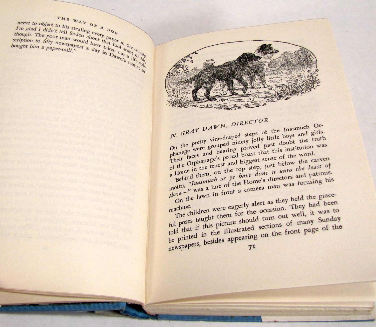 The Way of a Dog by Albert Terhune First Edition Hardback w/ Dust Jacket 1932