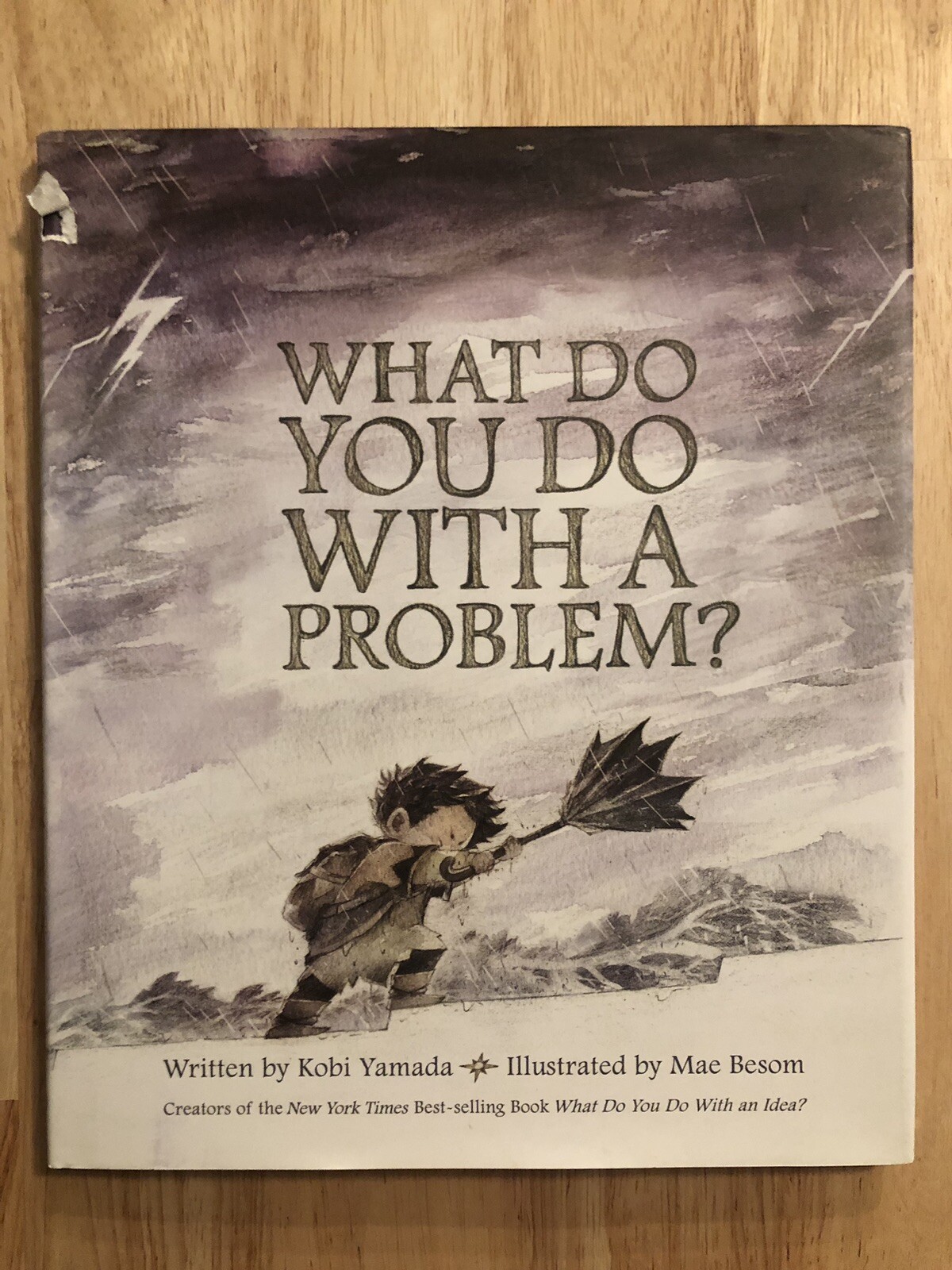 What Do You Do With a Problem? – Written by Kobi Yamada