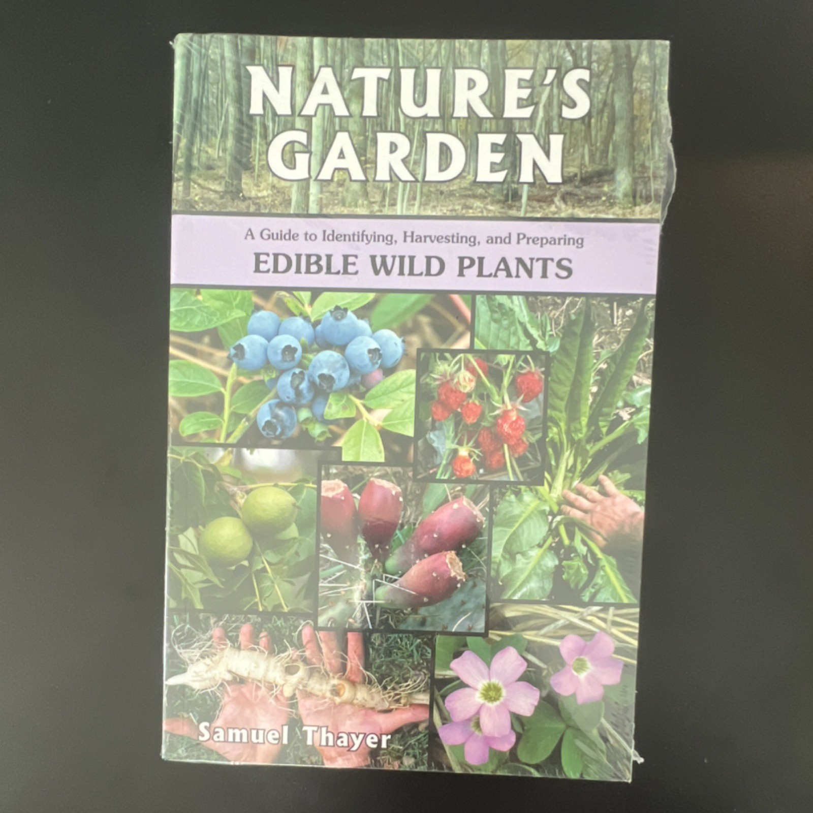 Nature’s Garden : A Guide to Identifying, Harvesting, and Preparing by S Thayer