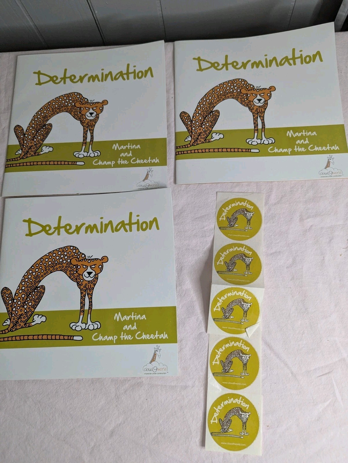 Home School Teachers Cloud 9 world character books DETERMINATION lot 2nd-5th