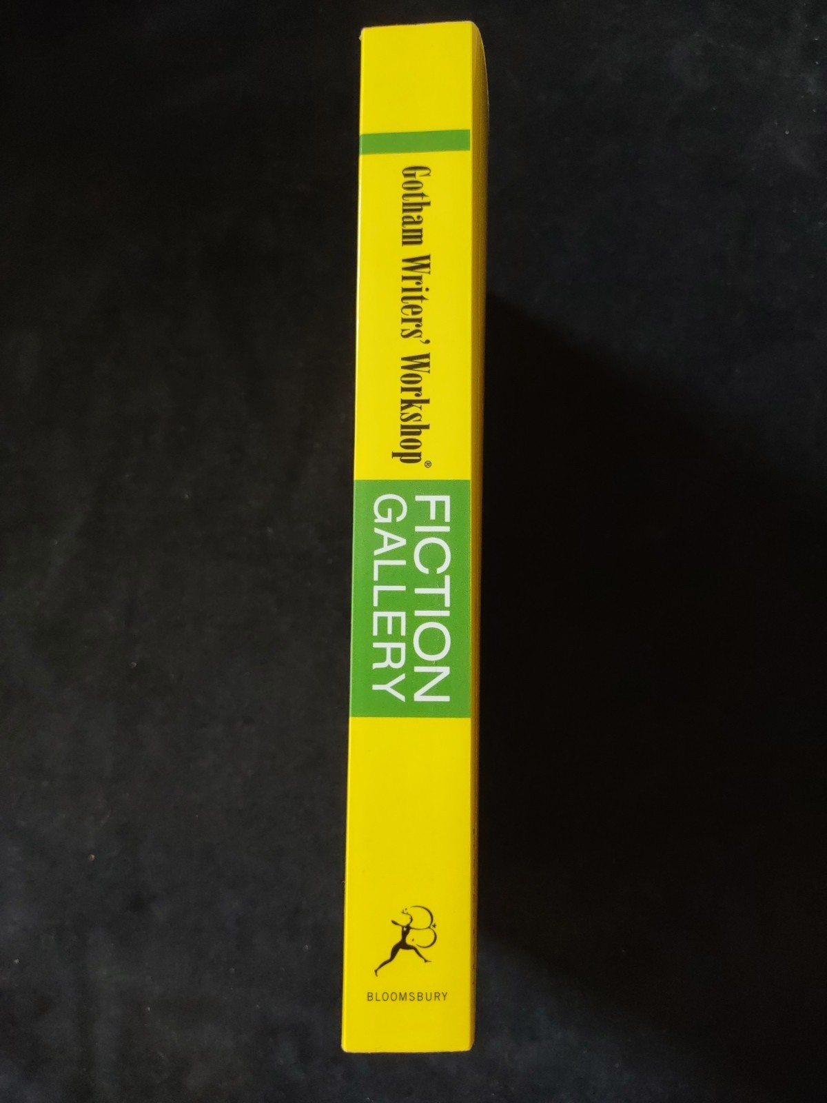 Gotham Writers Workshop Fiction Gallery Exceptional Short Stories Softcover Book