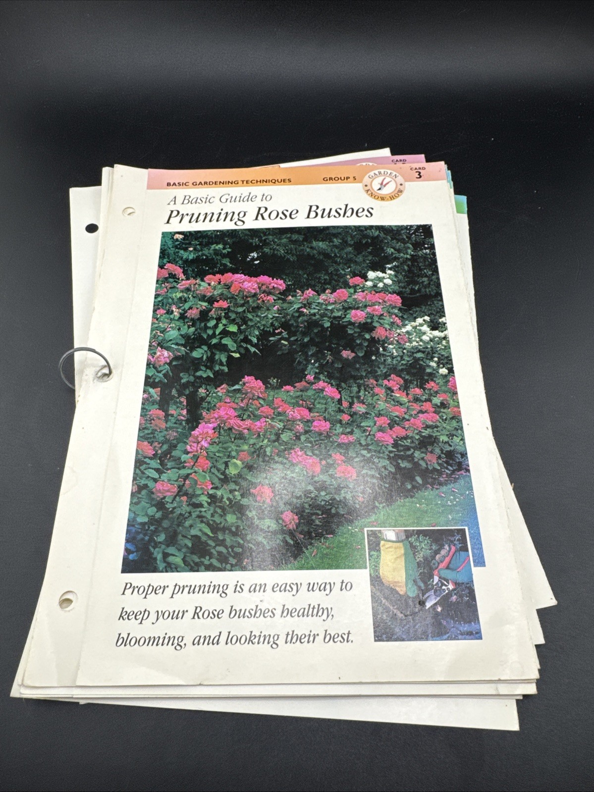 Gardening Made Easy 3-Ring Binder Cards 3,4,6-10, 12, 18,19 Binder Not Included