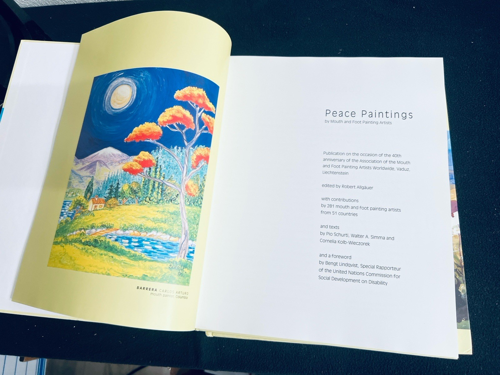40 YEARS AMFPA and PEACE PAINTINGS by Mouth and Foot Painting Artists 2 HC